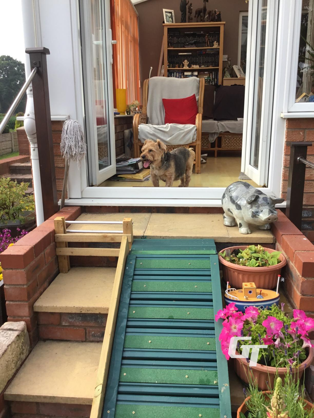 NonSlipLand decking strips on ramp, green color, anti-slip surface for dogs and pets